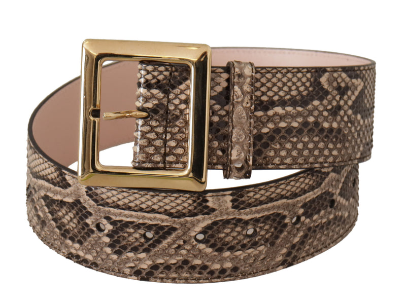 Dolce & Gabbana Beige Leather Exotic Wide Gold Metal Buckle Belt Glam Steals