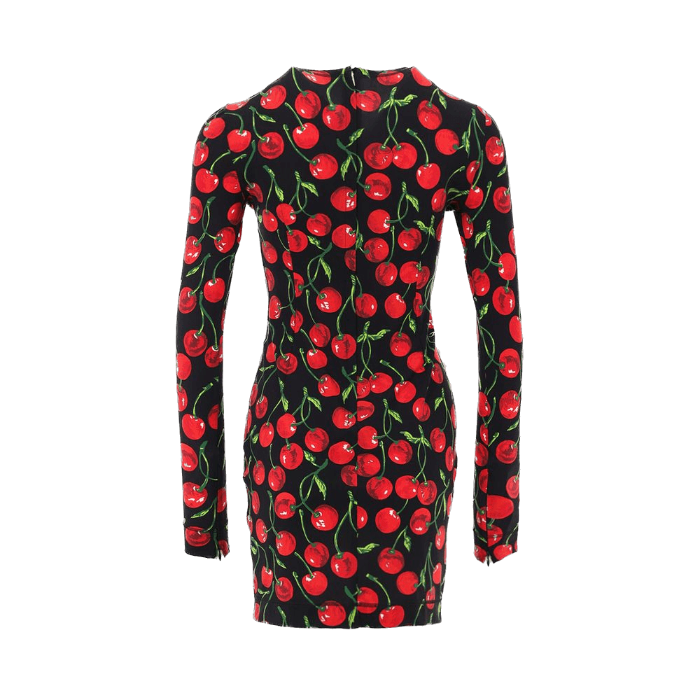 Dolce & Gabbana Bicolor Polyamide Short Glam Steals