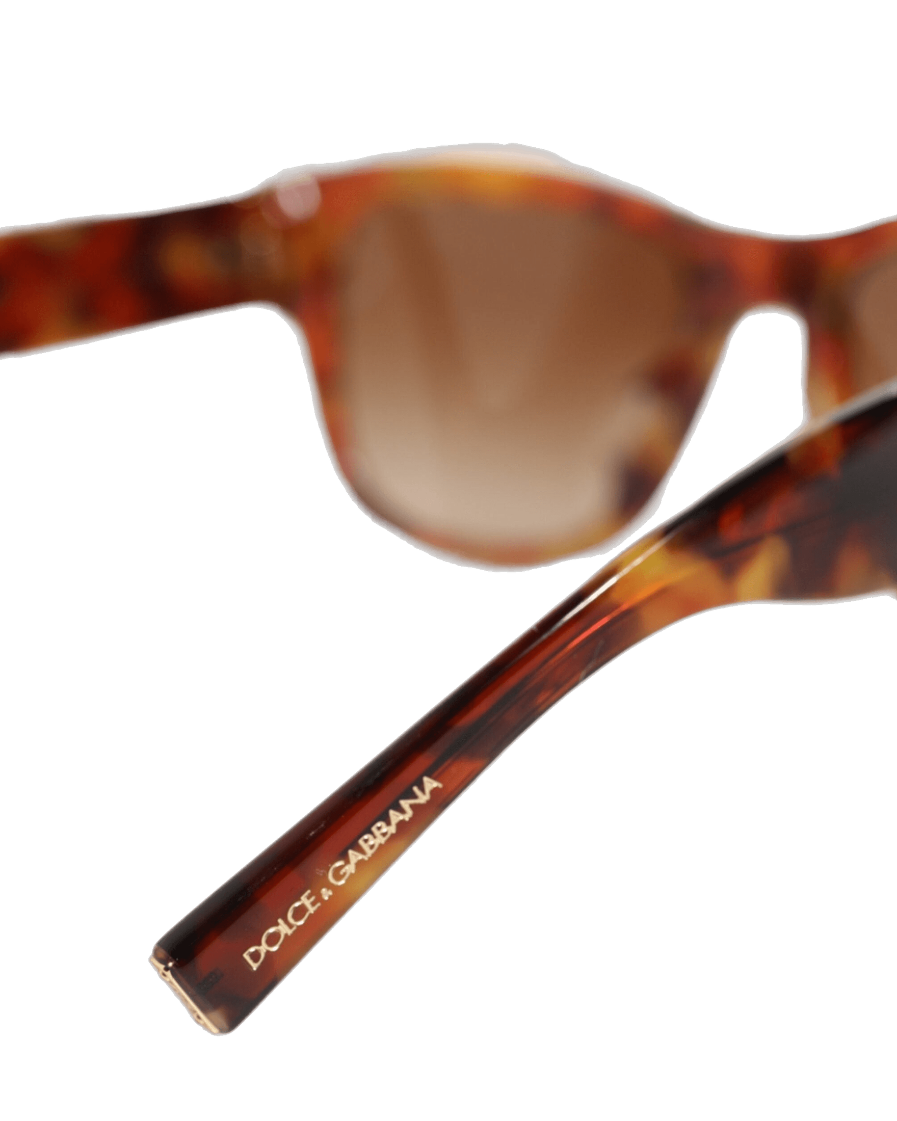 Dolce & Brown Gabbana Dg4338f Havana Full Rim Round Lenses Sunglasses Glam Steals