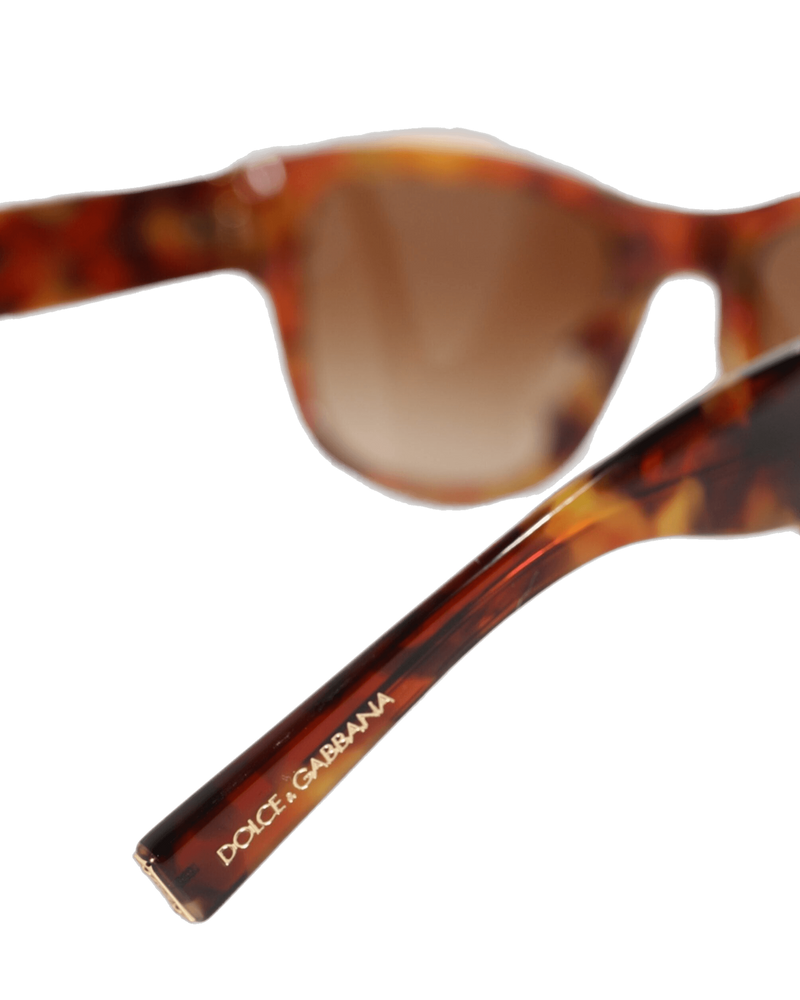 Dolce & Brown Gabbana Dg4338f Havana Full Rim Round Lenses Sunglasses Glam Steals