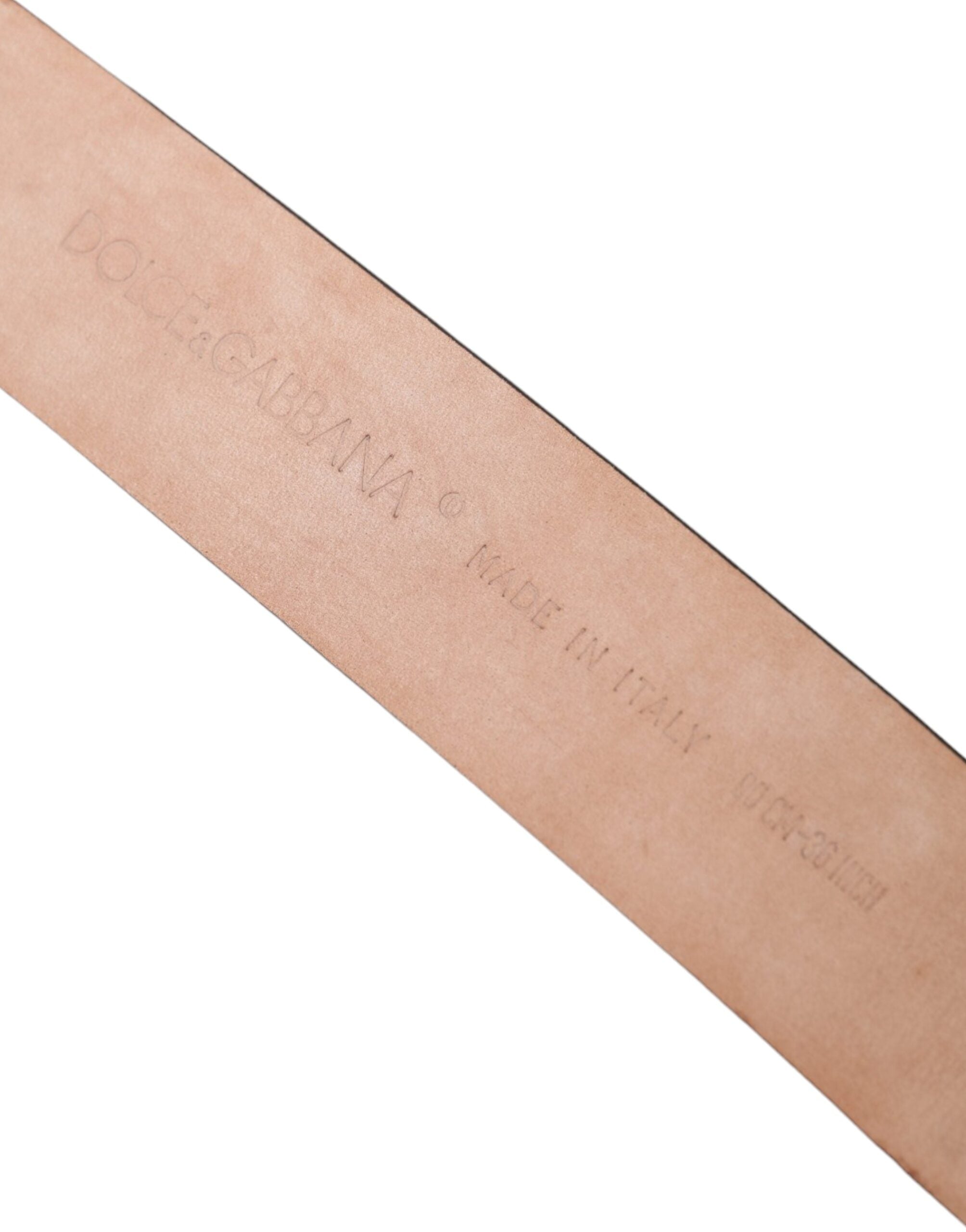 Dolce & Gabbana Brown Leather Exotic Silver Metal Buckle Belt Glam Steals