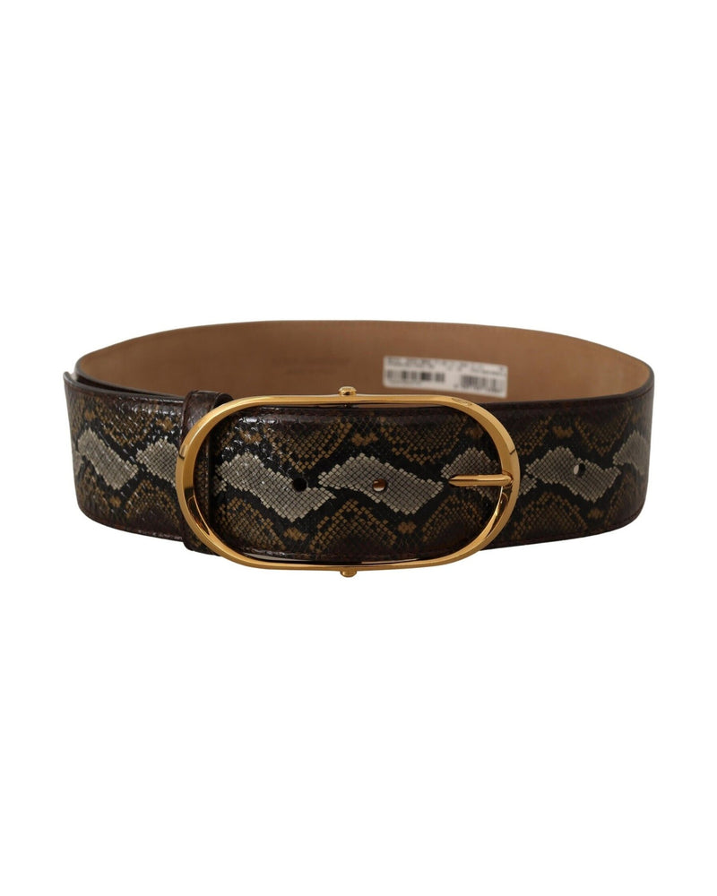 Dolce & Gabbana Brown Leather Python Gold Oval Buckle Belt Glam Steals
