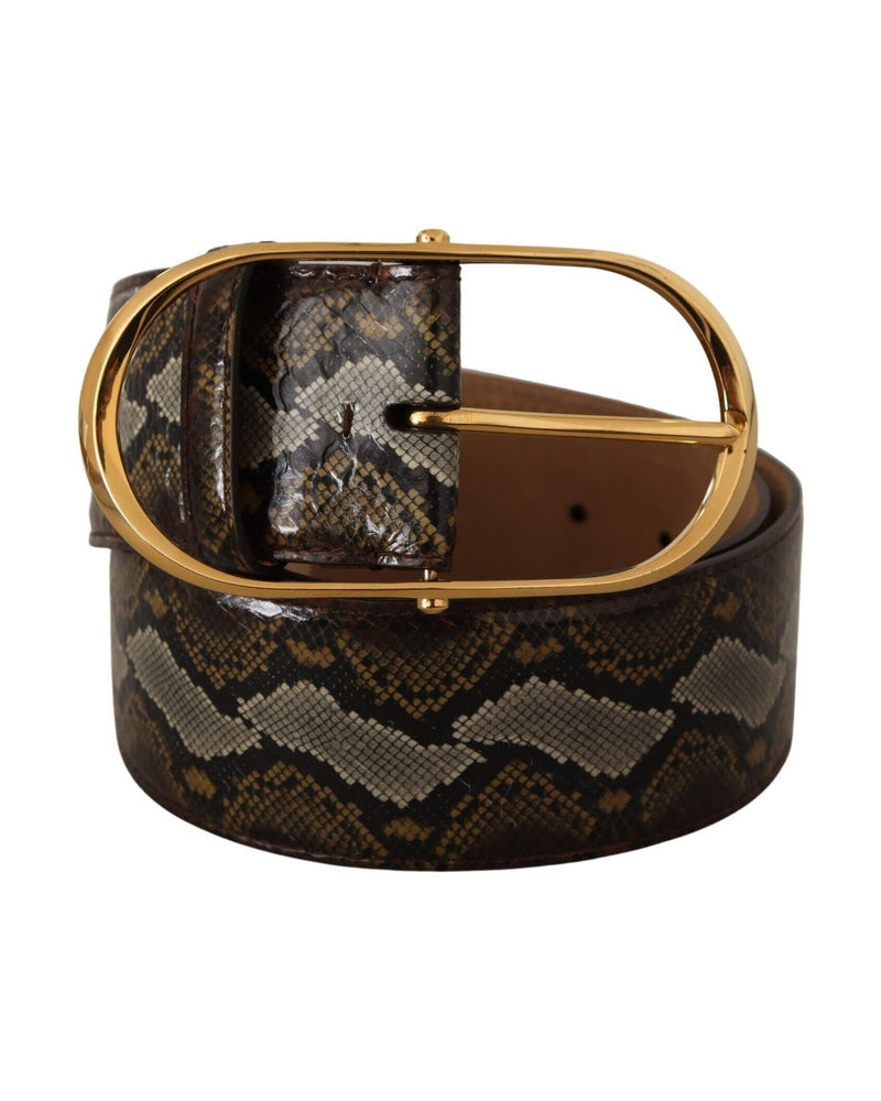 Dolce & Gabbana Brown Leather Python Gold Oval Buckle Belt Glam Steals