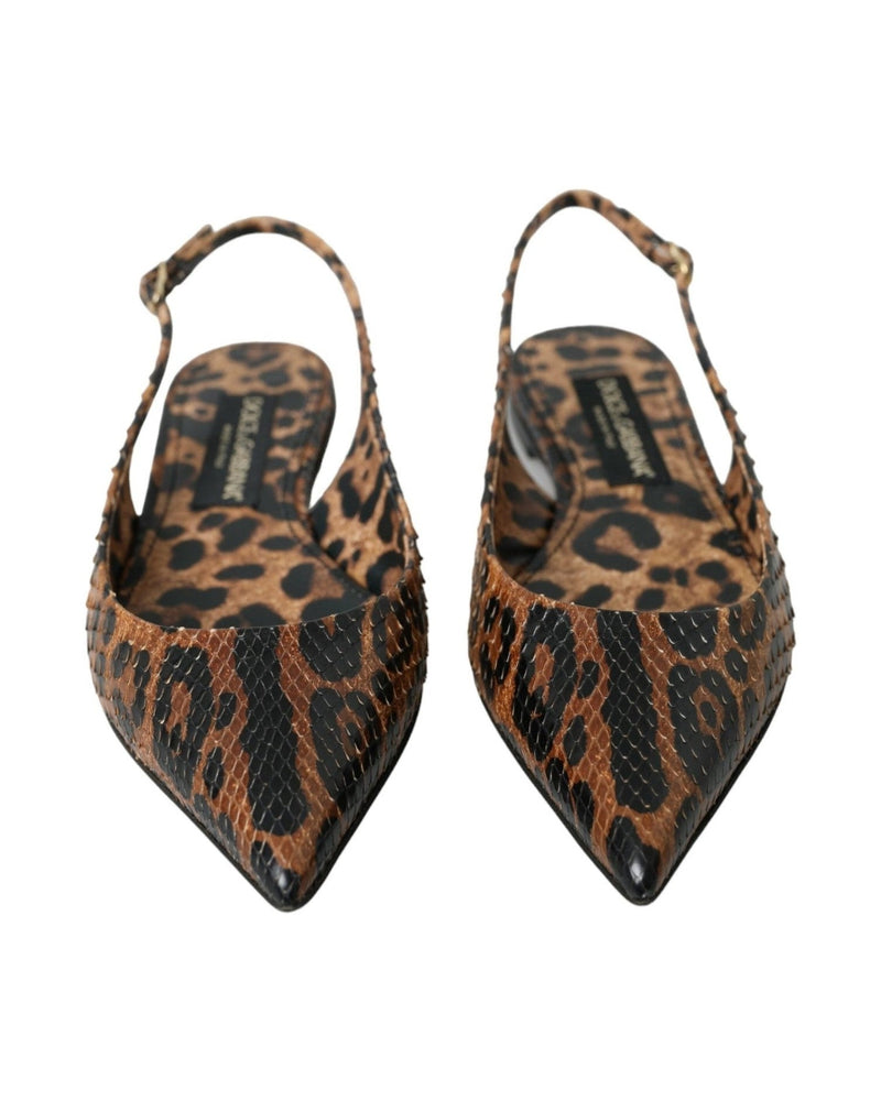 Dolce & Gabbana Brown Leopard Exotic Skin Slingback Shoes Glam Steals