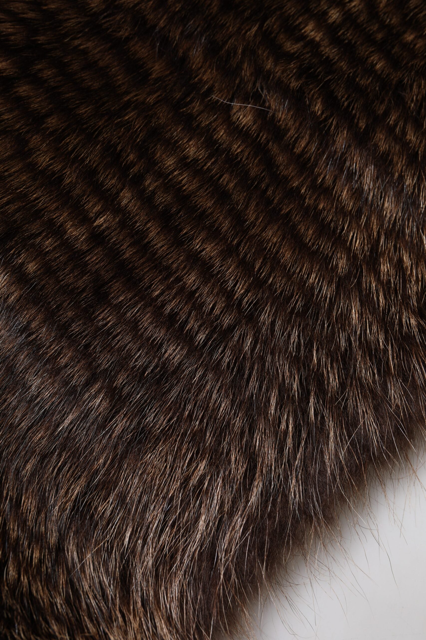 Dolce & Gabbana Brown Raccoon Fur Neck Warmer Winter Scarf Glam Steals