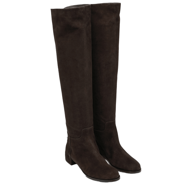 Dolce & Gabbana Brown Suede High Boot in Ebony Glam Steals