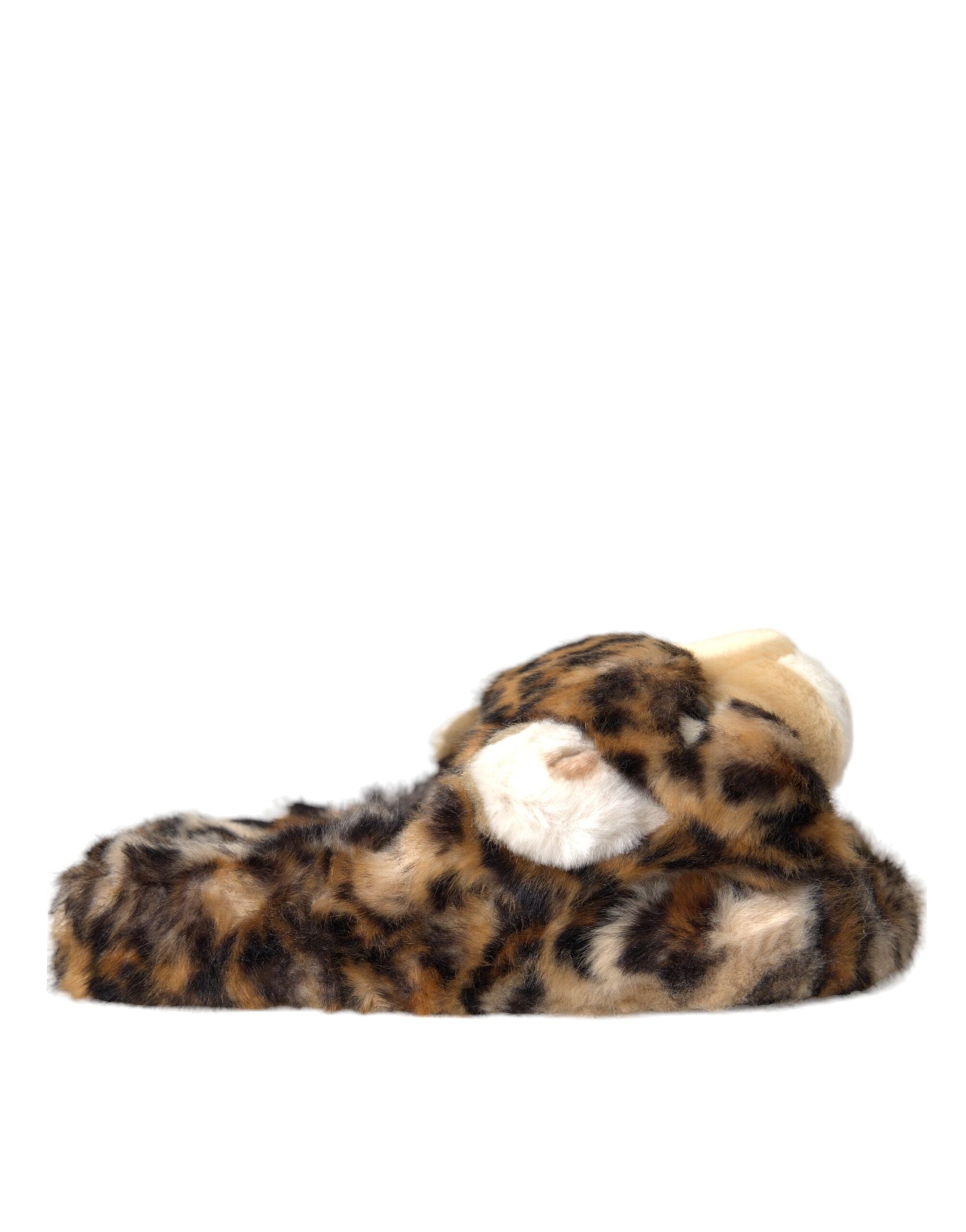 Dolce & Gabbana Brown Tiger Slippers Flats Sandals Shoes Glam Steals
