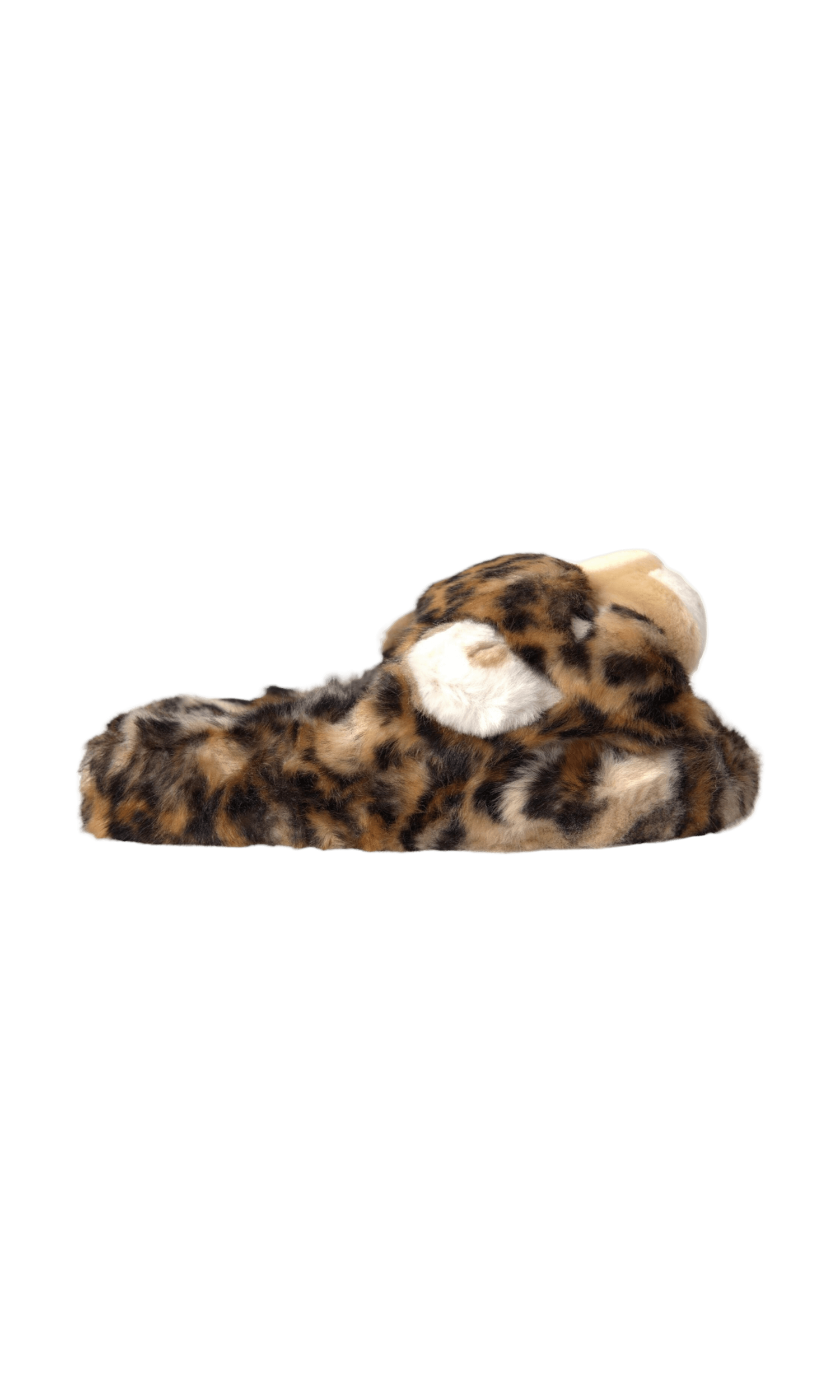 Dolce & Gabbana Brown Tiger Slippers Flats Sandals Shoes Glam Steals