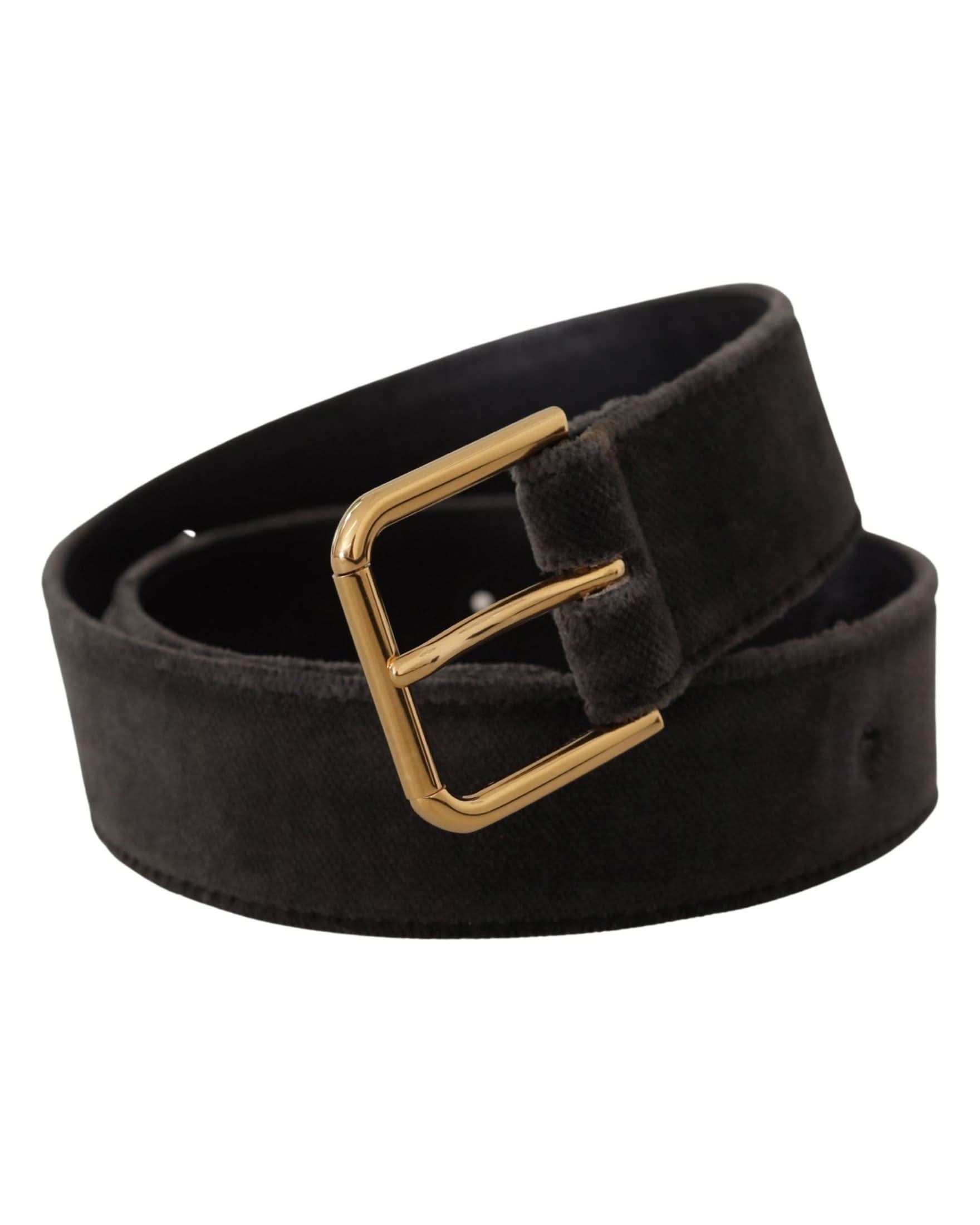 Dolce & Gabbana Brown Velvet Gold Tone Logo Metal Waist Buckle Belt Belts