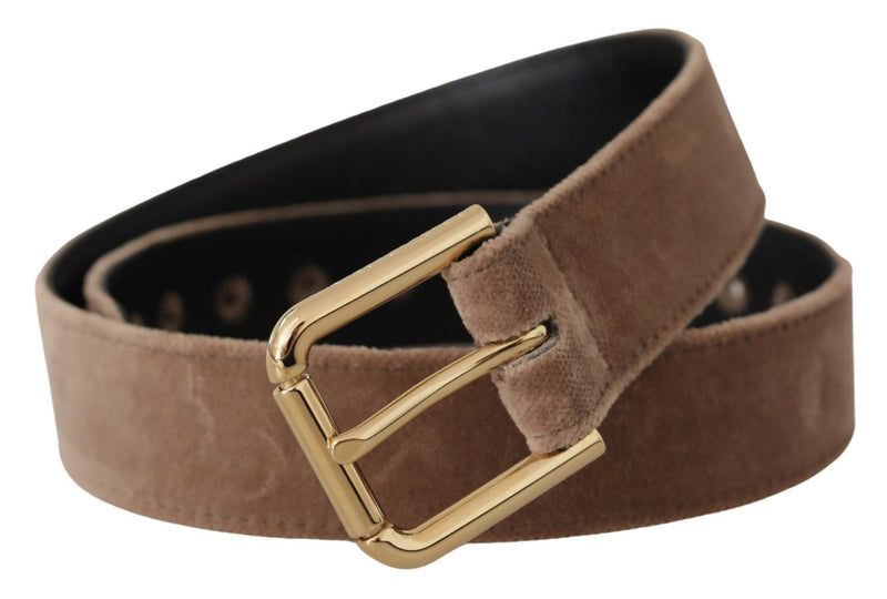 Dolce & Gabbana Brown Velvet Light Gold Tone Logo Metal Buckle Belt Glam Steals