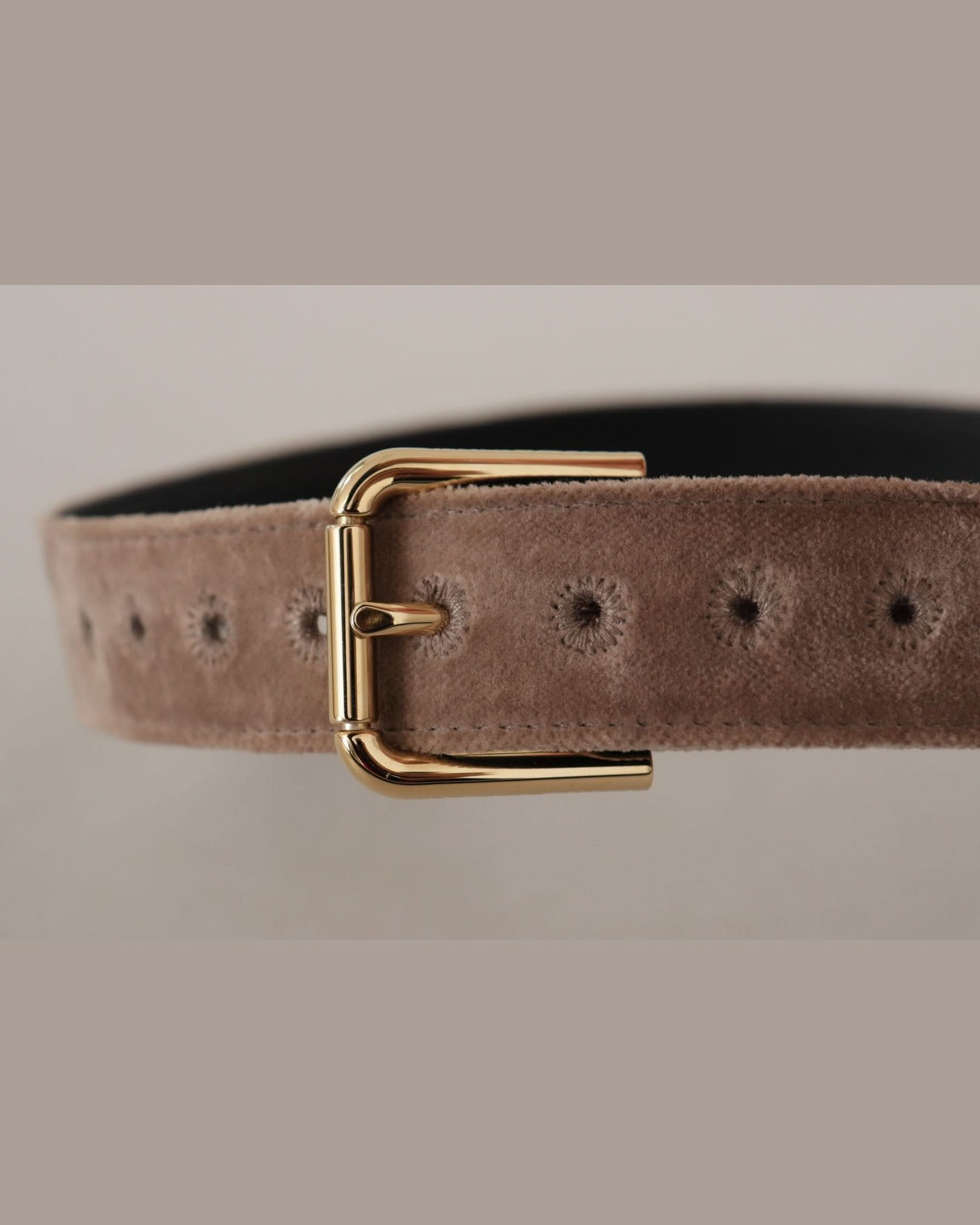 Dolce & Gabbana Brown Velvet Light Gold Tone Logo Metal Buckle Belt Belts