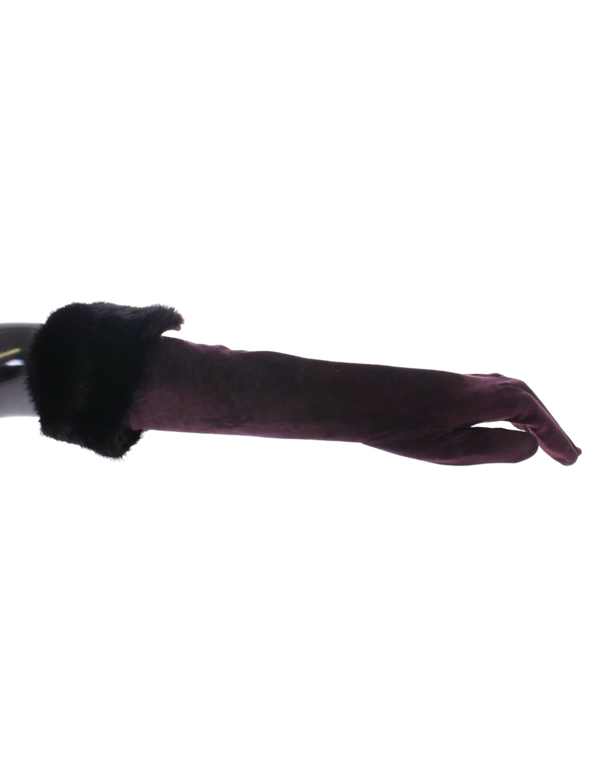 Dolce & Gabbana Elegant Elbow Length Fur Purple Gloves Glam Steals