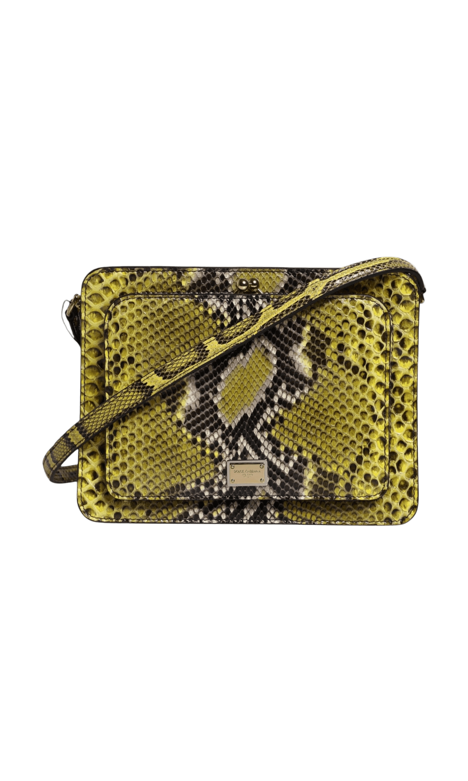 Dolce & Gabbana Green Leather Exotic Dg Plaque Crossbody Clutch Bag Glam Steals