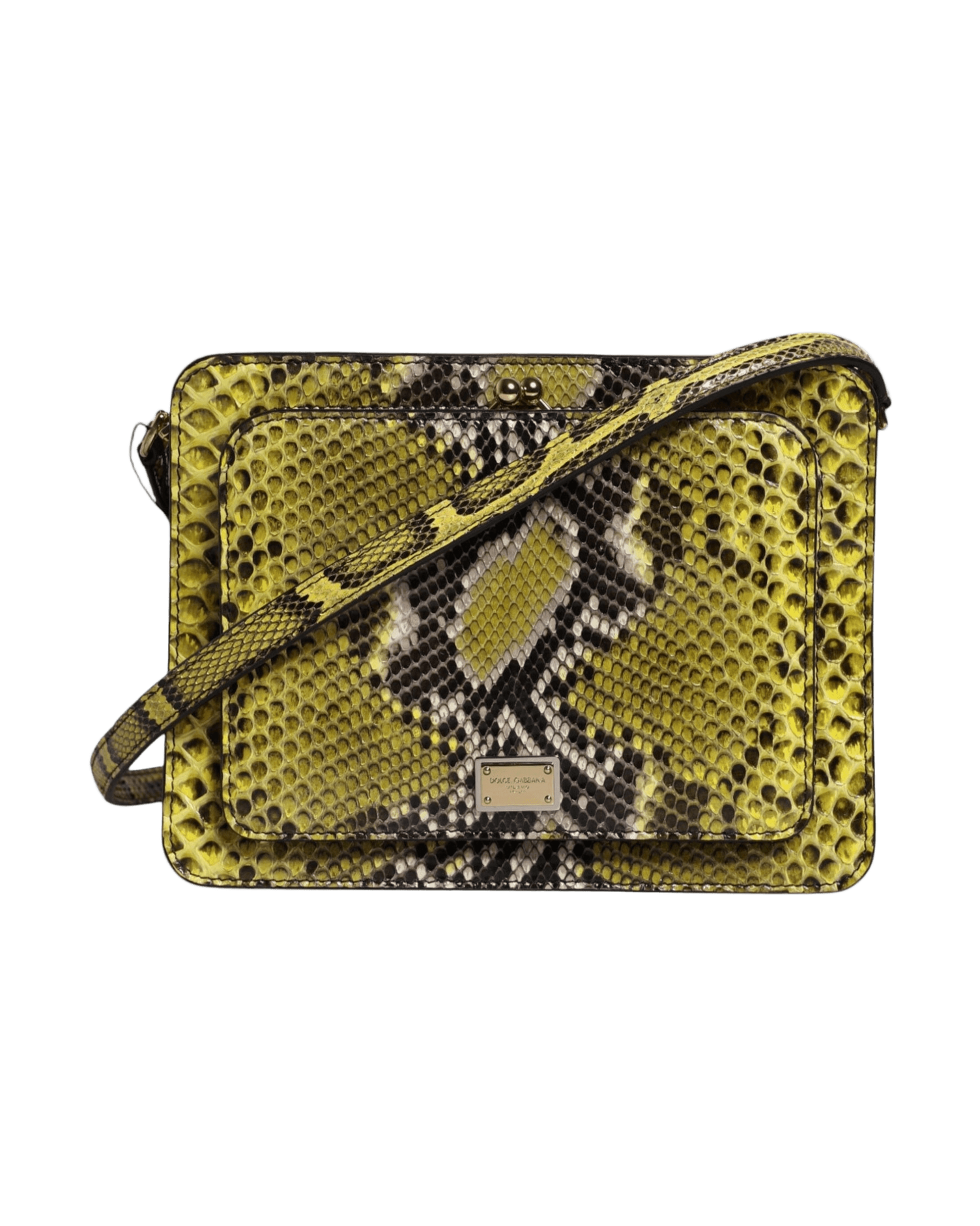 Dolce & Gabbana Green Leather Exotic Dg Plaque Crossbody Clutch Bag Glam Steals