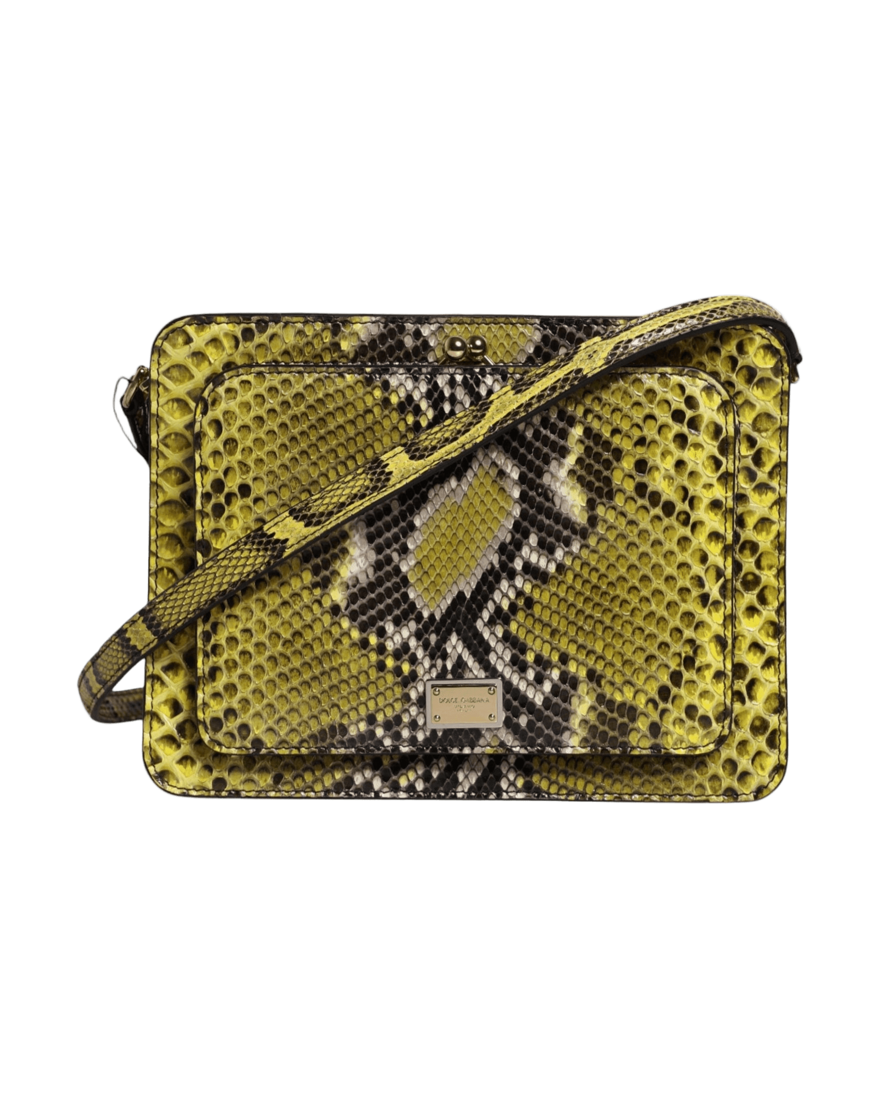 Dolce & Gabbana Green Leather Exotic Dg Plaque Crossbody Clutch Bag Glam Steals
