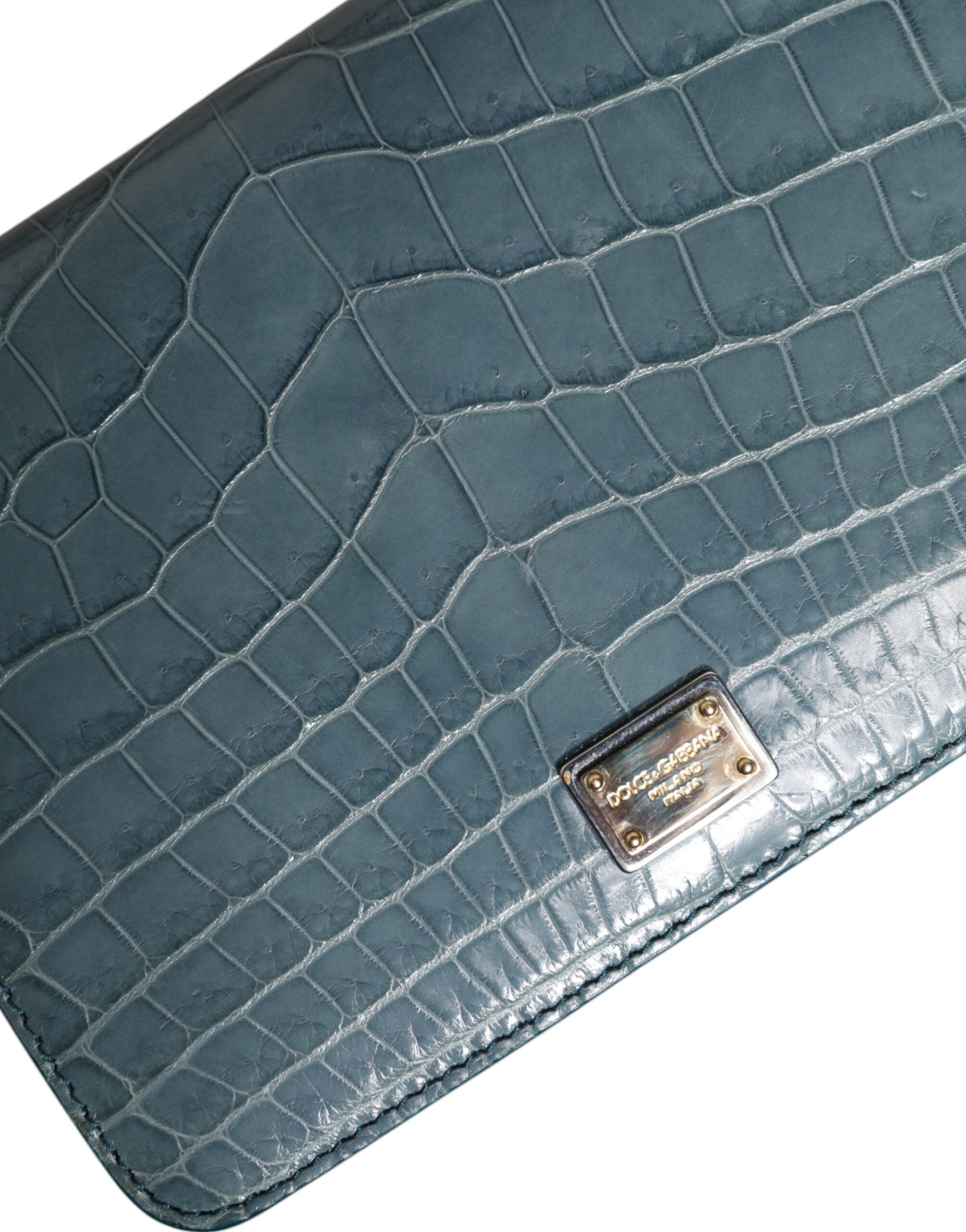 Dolce & Gabbana Green Leather Exotic Dg Plaque Crossbody Mini Bag Glam Steals
