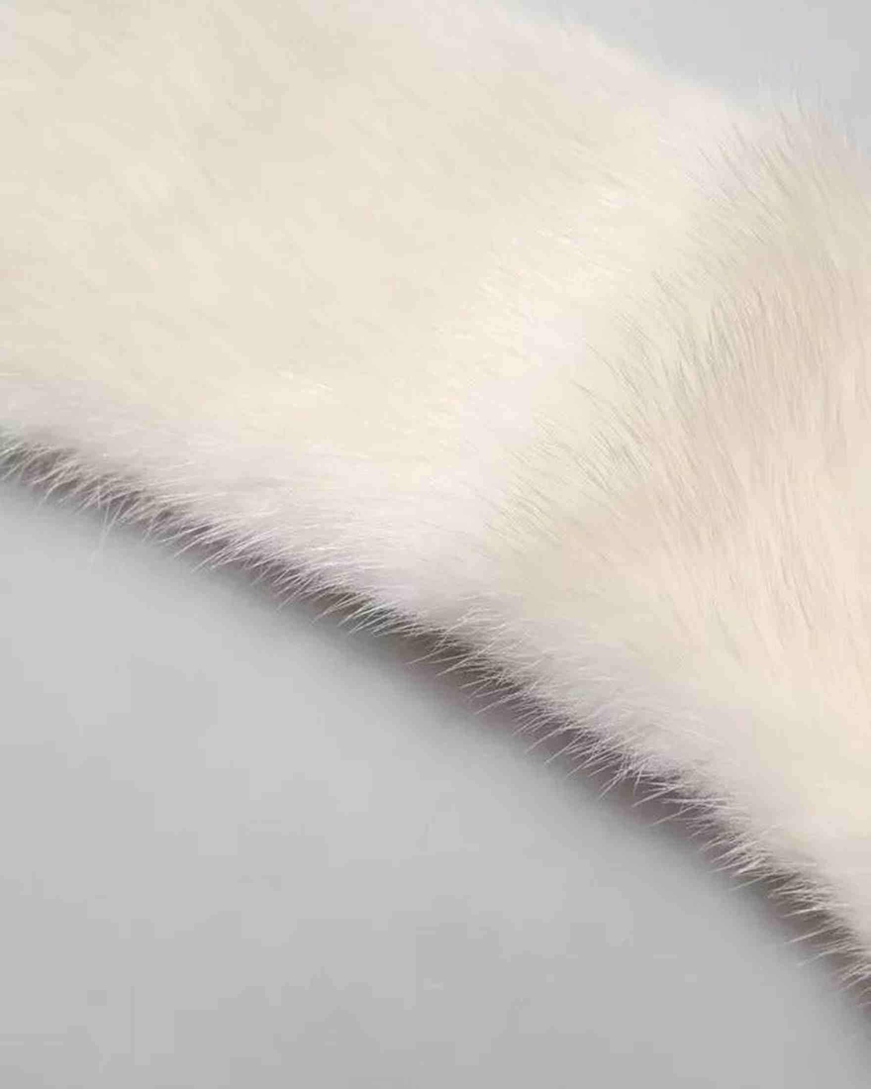 Dolce & Gabbana Mink Fur Collar Women Neck Wrap White Scarf Glam Steals
