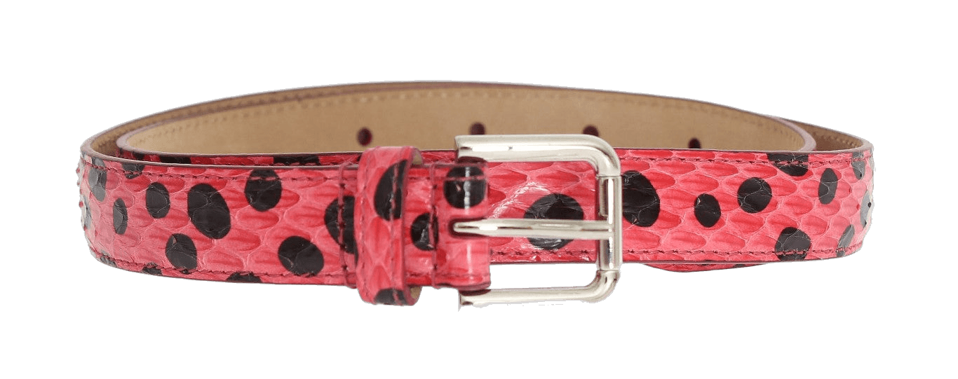 Dolce & Gabbana Pink Polka Snakeskin Silver Buckle Belt Glam Steals