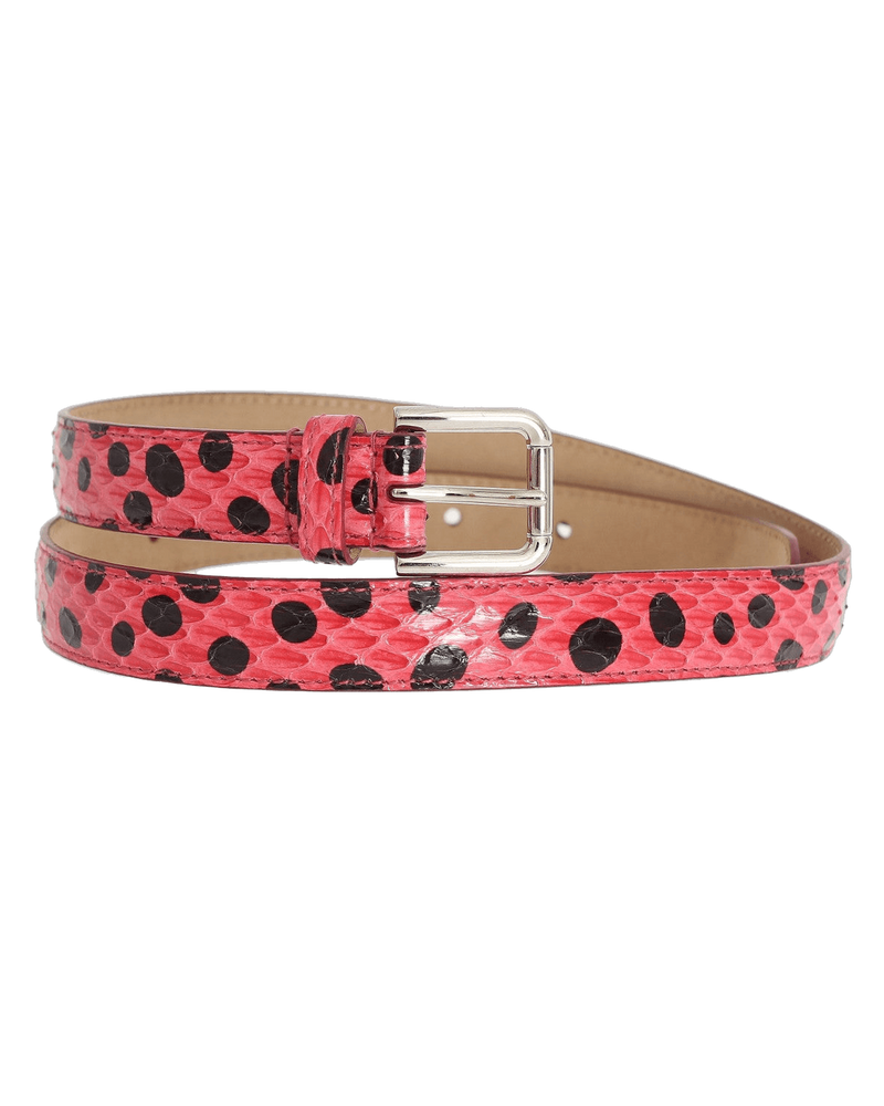 Dolce & Pink Gabbana Polka Snakeskin Buckle Belt Glam Steals