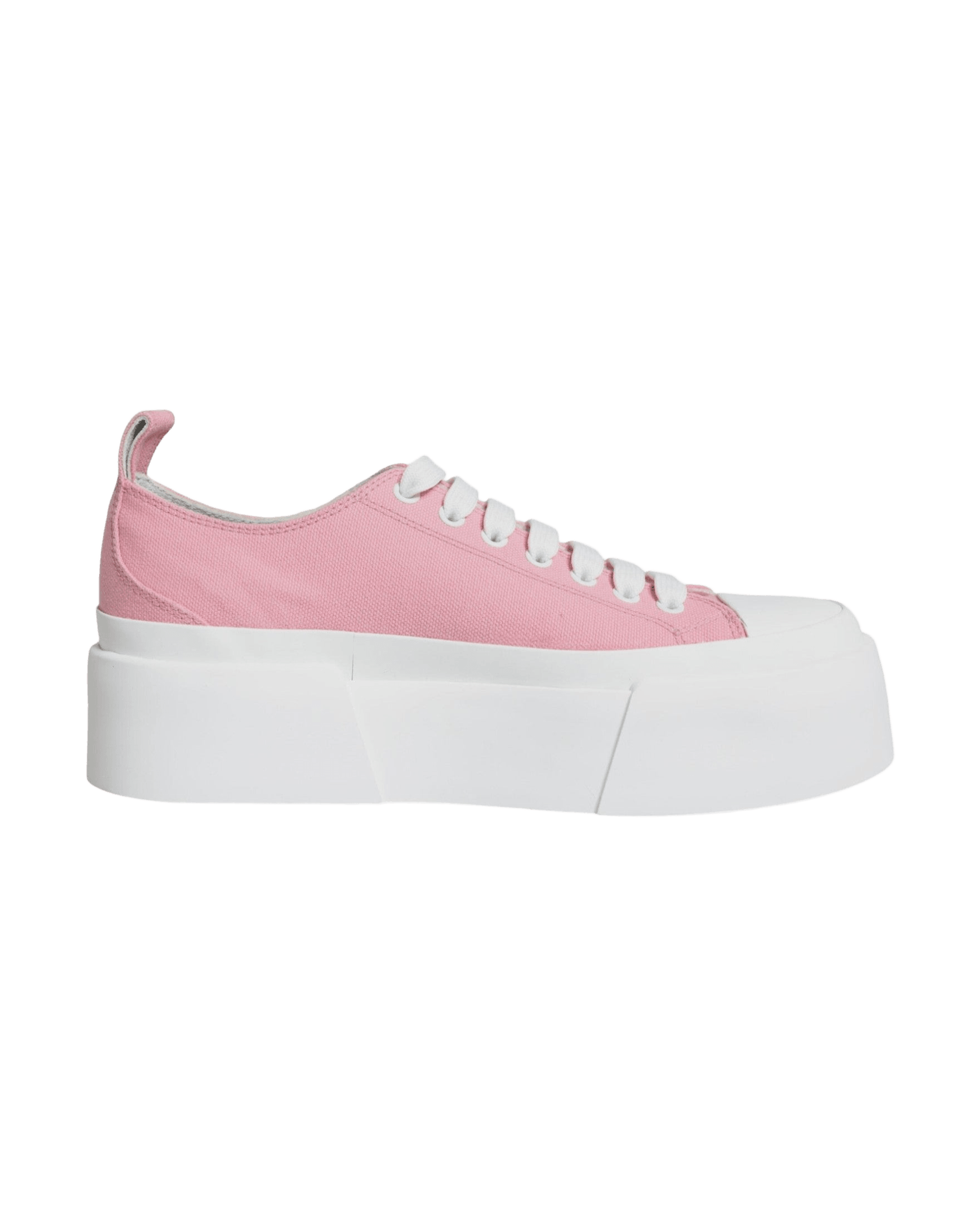 Dolce & Gabbana Pink White Canvas Logo Low Top Sneakers Shoes Glam Steals