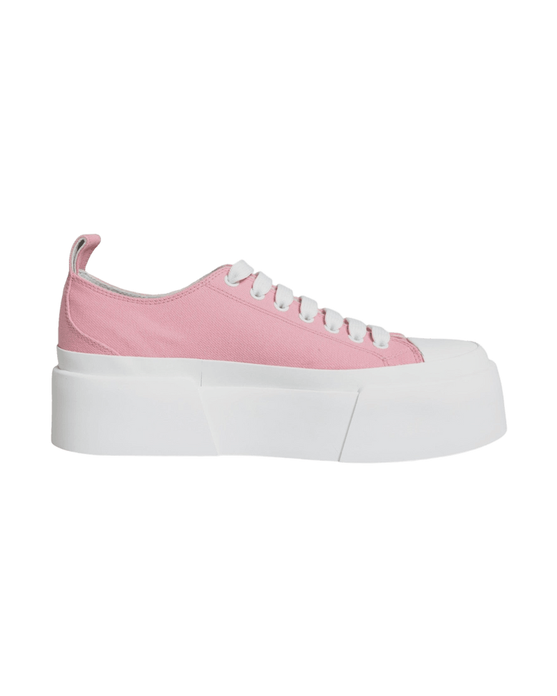 Dolce & Pink Gabbana Canvas Logo Low Top Sneakers Shoes Glam Steals