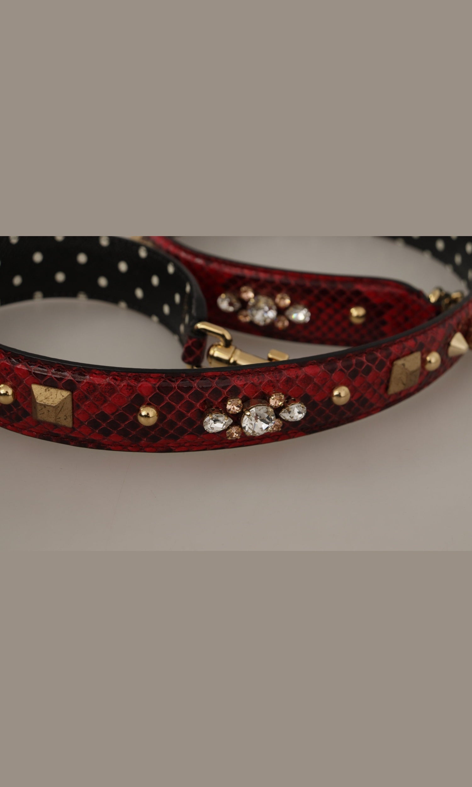 Dolce & Gabbana Python Leather Shoulder Bag Red Strap Glam Steals