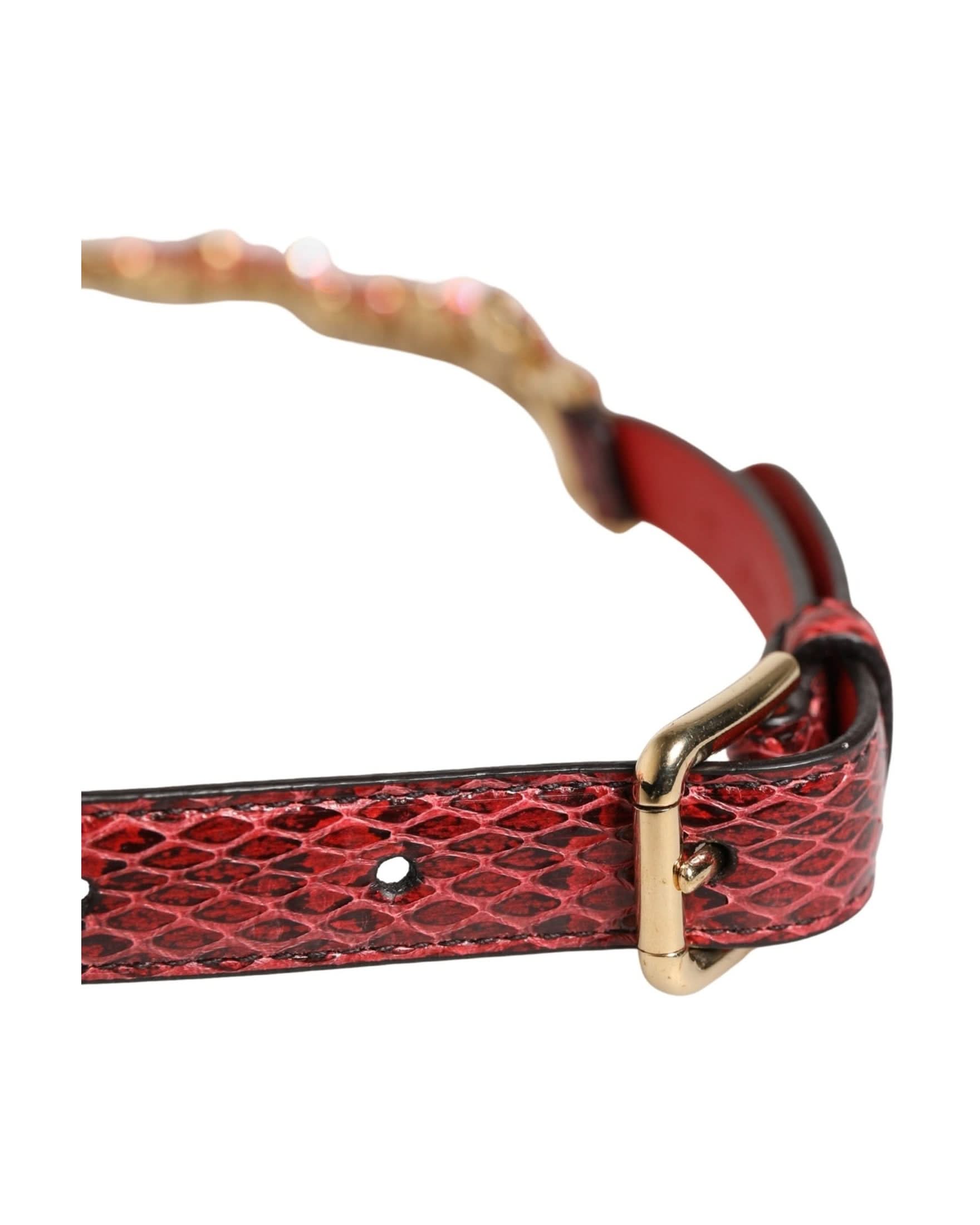 Dolce & Gabbana Red Leather Daisy Crystal Embellished Waist Belt 
