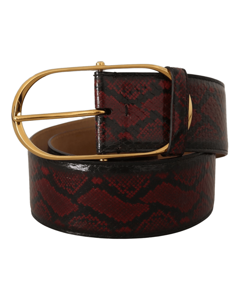 Dolce & Red Gabbana Leather Exotic Oval Buckle Belt Glam Steals