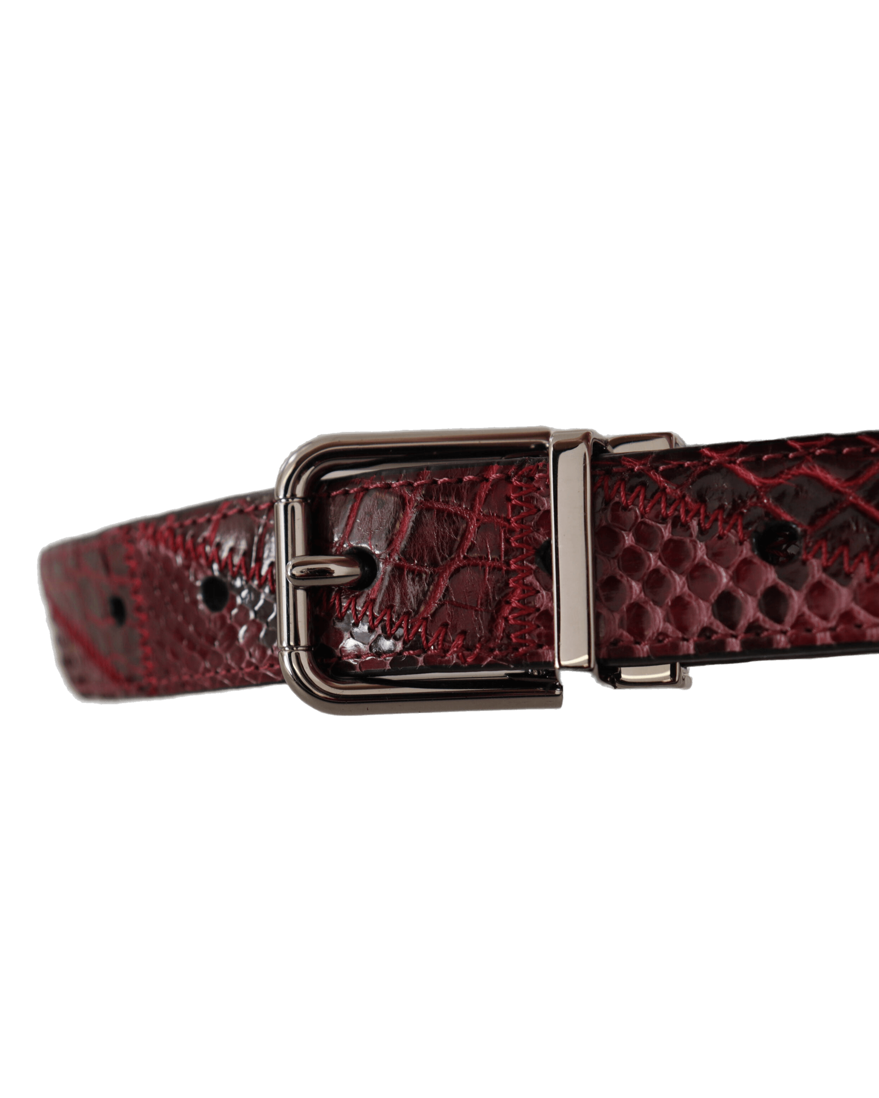 Dolce & Red Gabbana Leather Exotic Metal Logo Buckle Belt Glam Steals