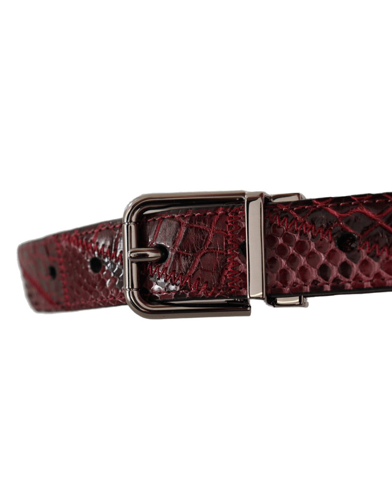 Dolce & Red Gabbana Leather Exotic Metal Logo Buckle Belt Glam Steals