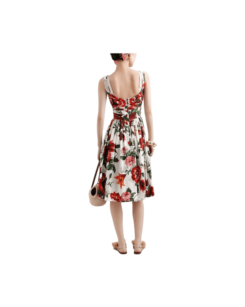 Dolce & White Gabbana Dress Glam Steals