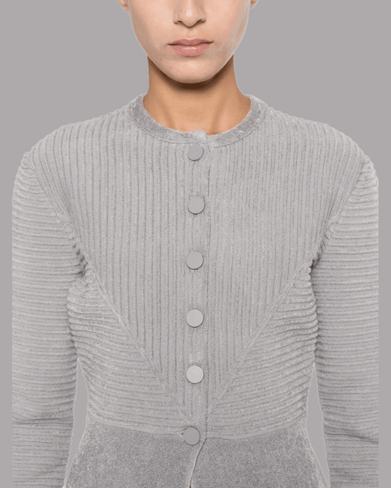 Emporio Armani Silver Jacket Glam Steals