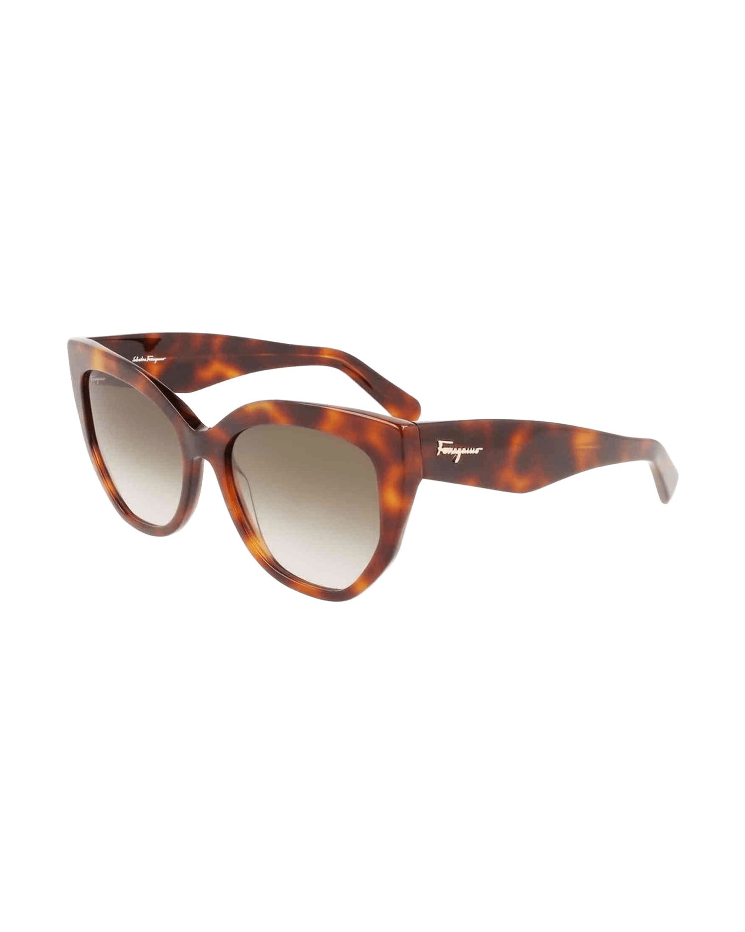 Ferragamo Acetate Brown Sunglasses Glam Steals