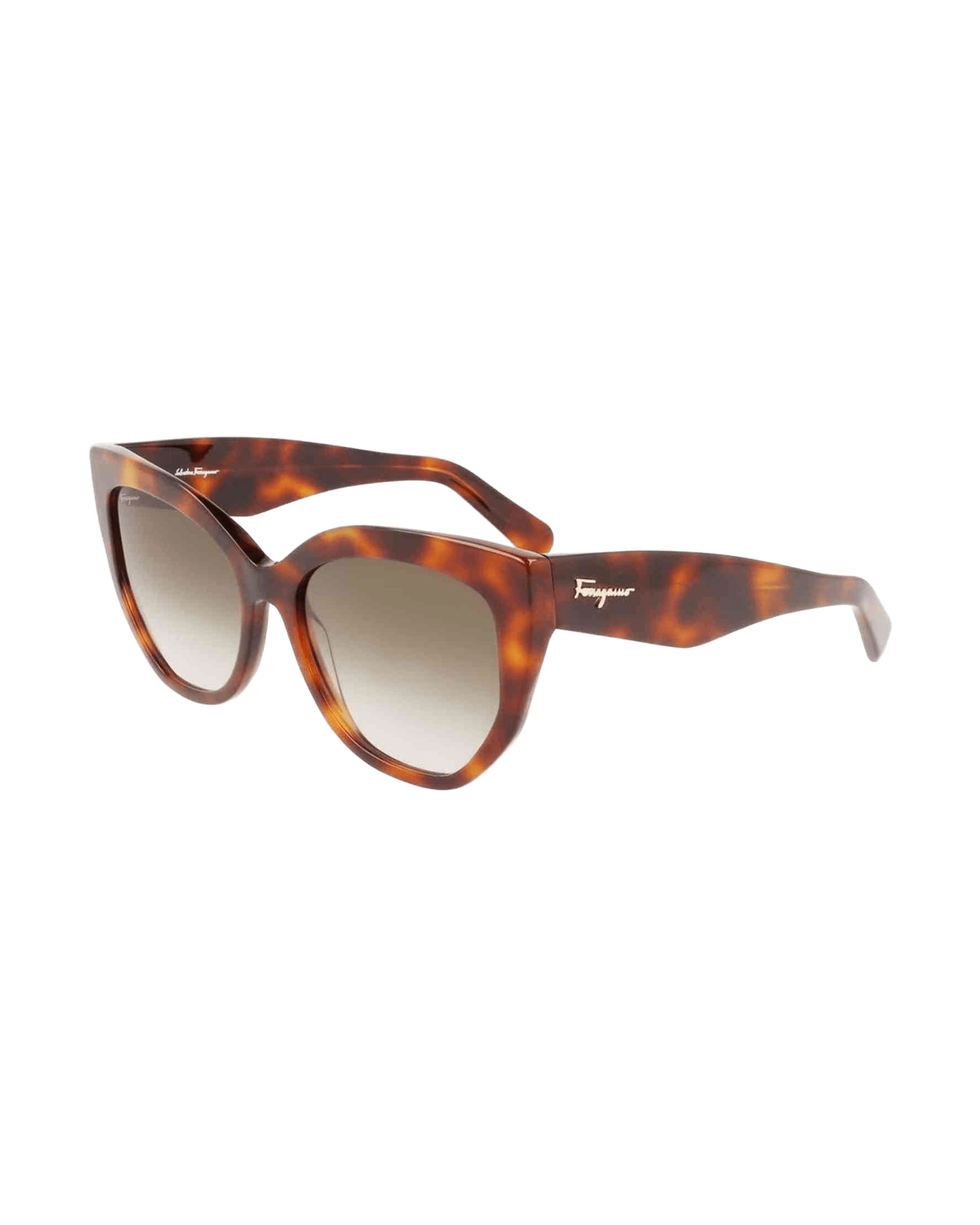 Ferragamo Acetate Brown Sunglasses Glam Steals
