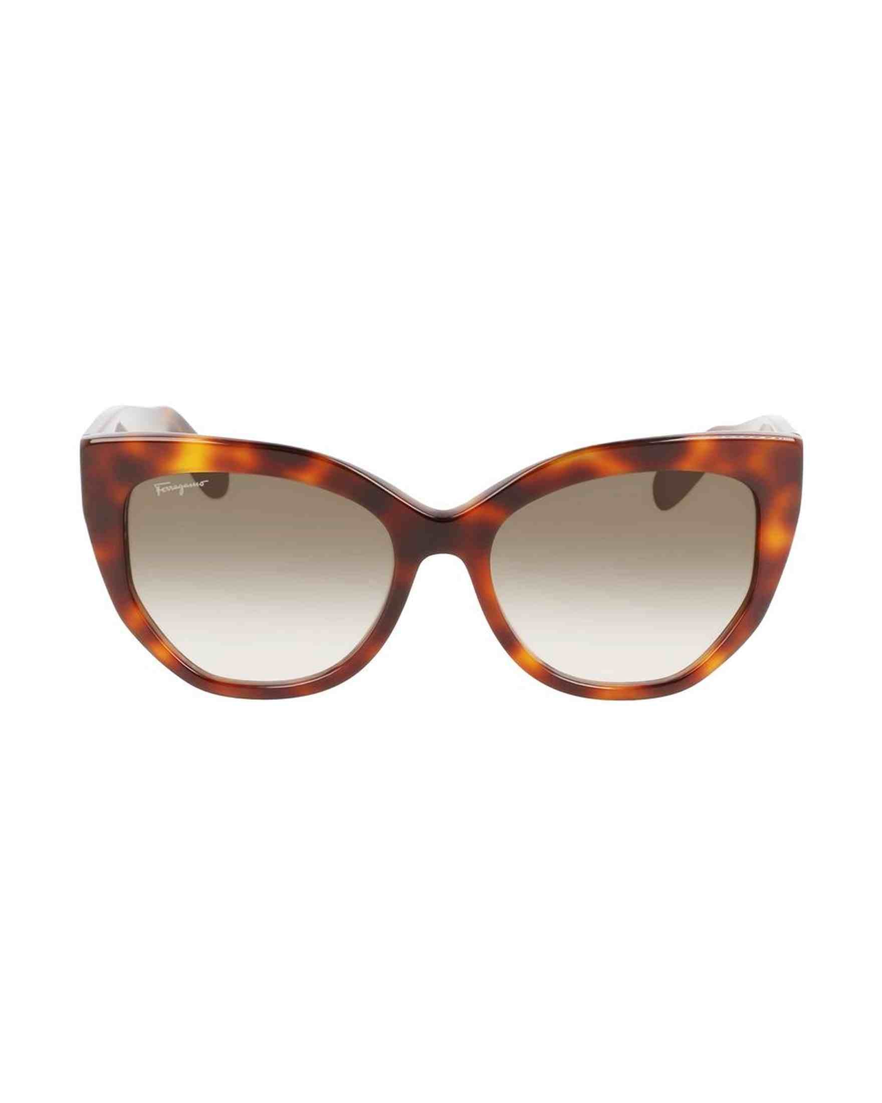 Ferragamo Acetate Brown Sunglasses Glam Steals