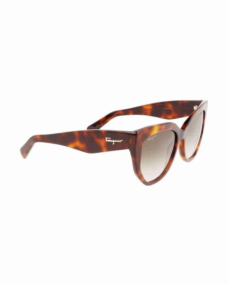 Ferragamo Acetate Brown Sunglasses Glam Steals
