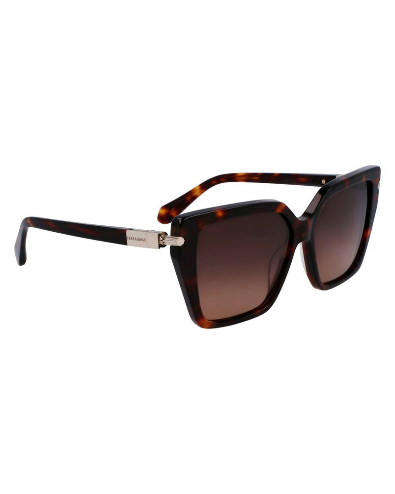 Ferragamo Brown Acetate Sunglasses Glam Steals