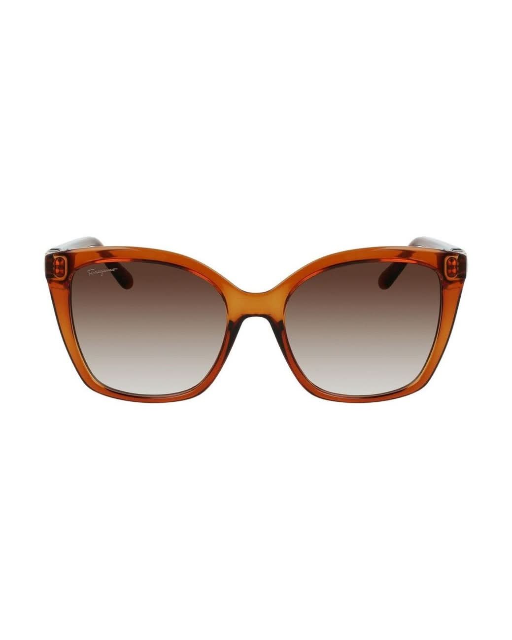 Ferragamo Brown Injected Sunglasses 