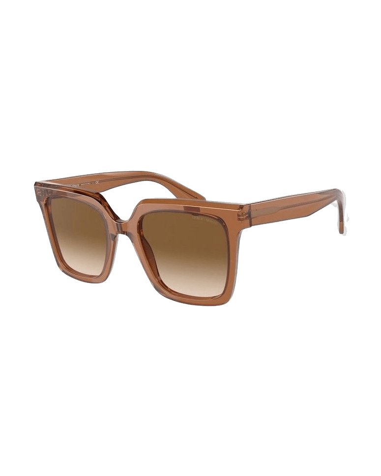Giorgio Armani Brown Acetate Sunglasses Glam Steals