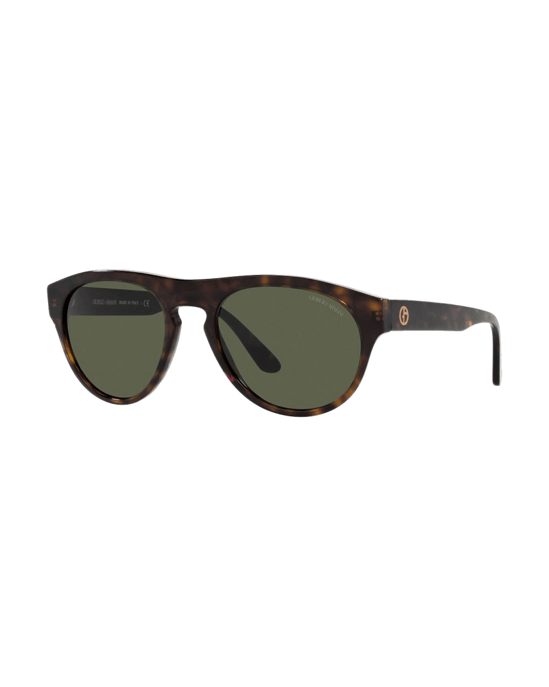Giorgio Armani Brown Acetate Sunglasses Glam Steals
