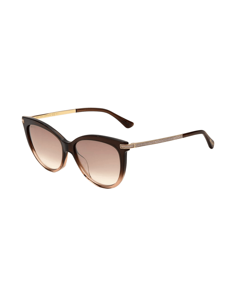 Jimmy Choo Brown Acetate Sunglasses Glam Steals