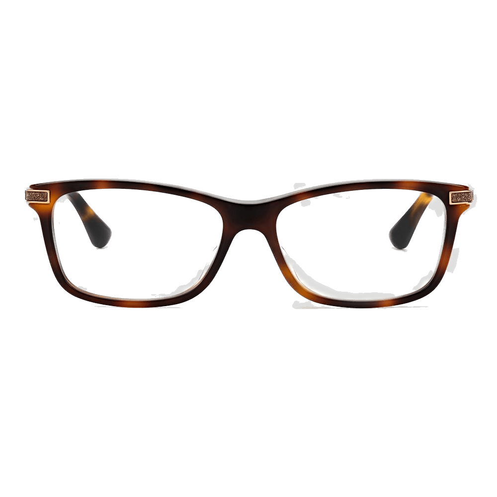 Jimmy Choo Bicolor Acetate Frame Glam Steals