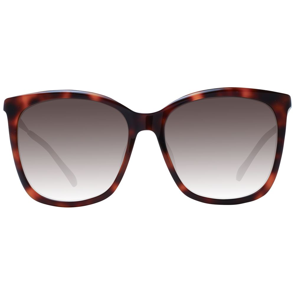 Jimmy Choo Women Brown Sunglasses Glam Steals