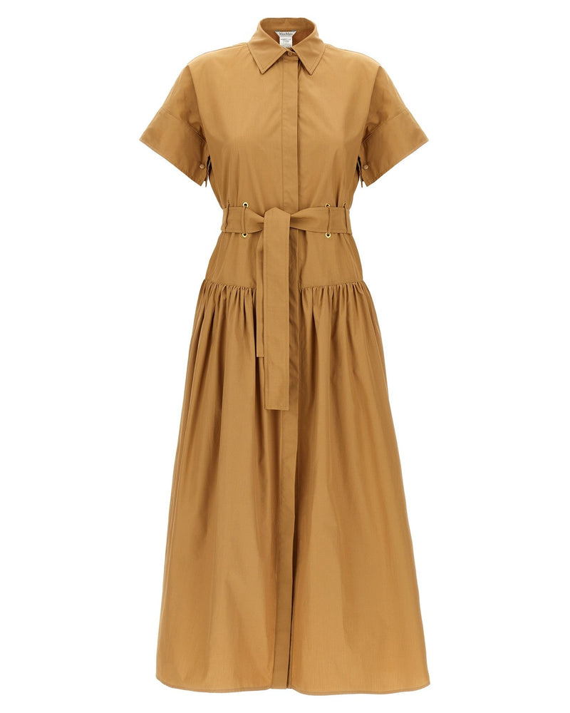 Max Mara Agoario Dress Glam Steals