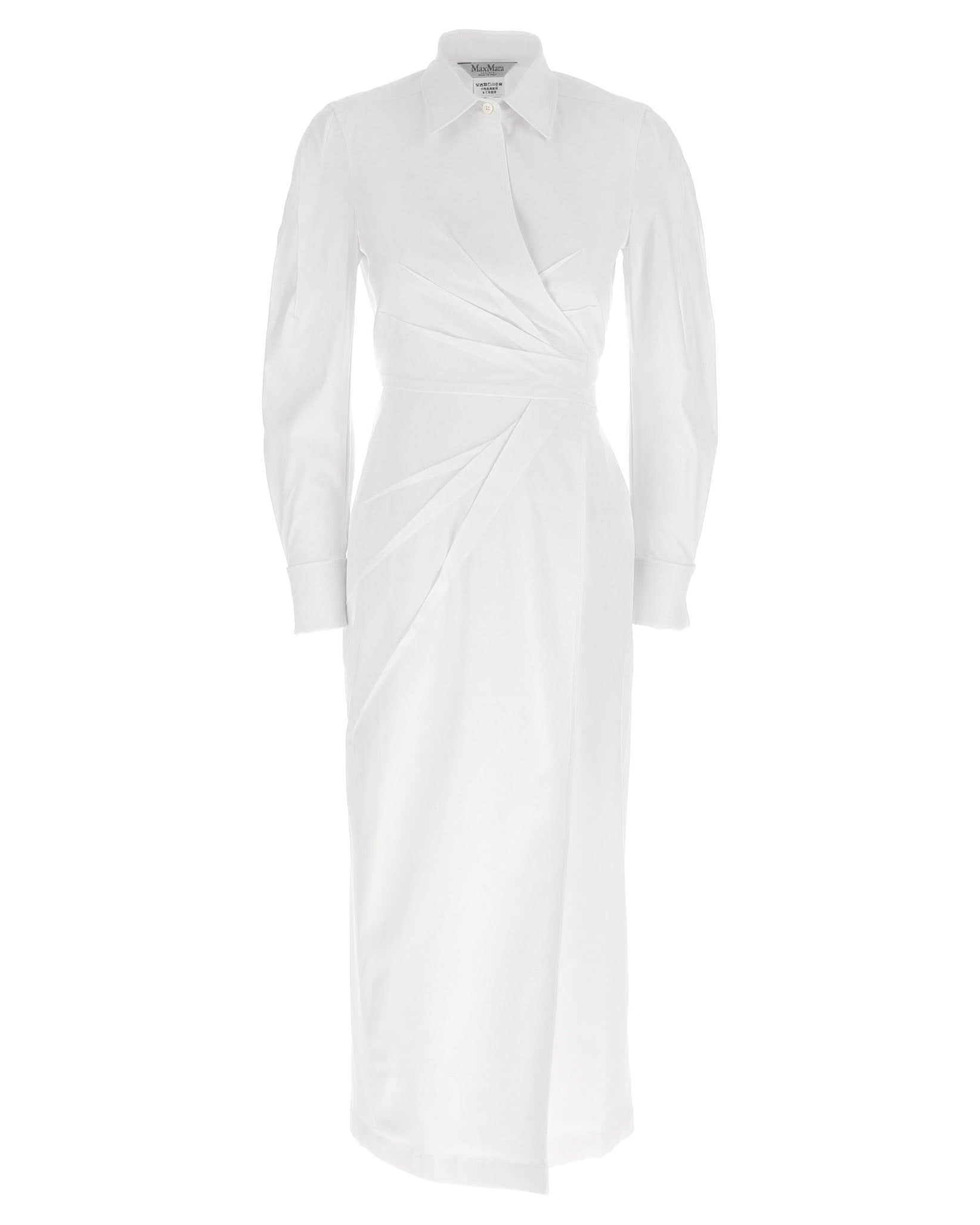 Max Mara Balzac Dress Glam Steals