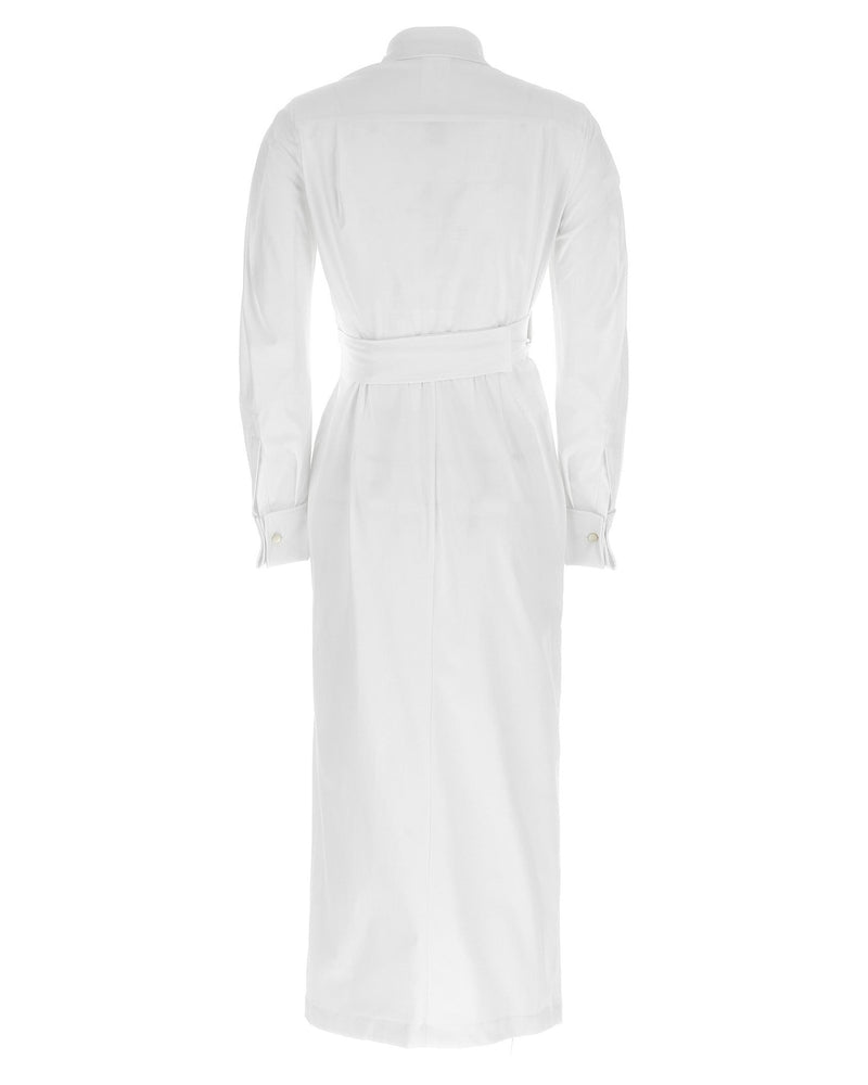 Max Mara Balzac Dress Glam Steals