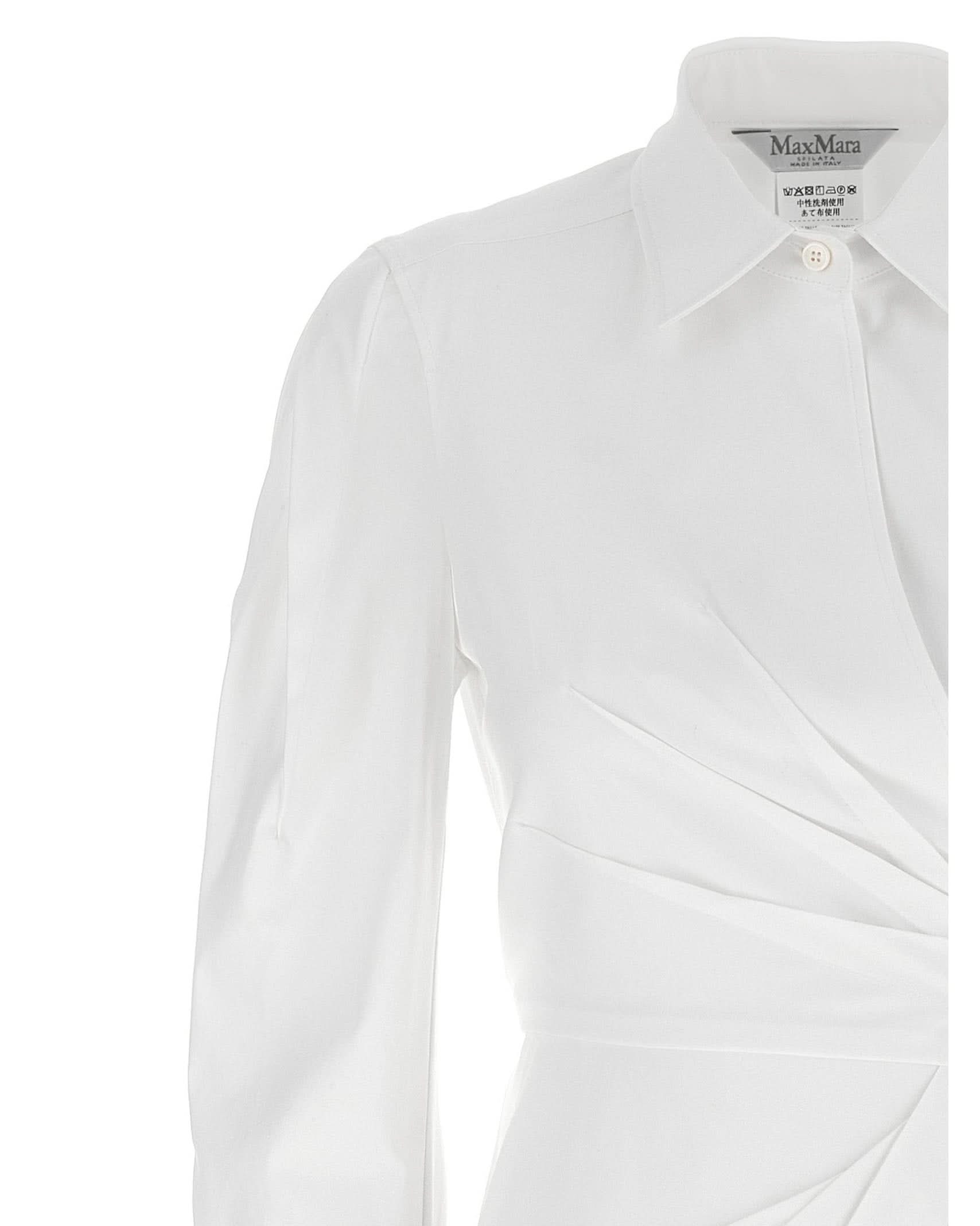 Max Mara Balzac Dress Glam Steals