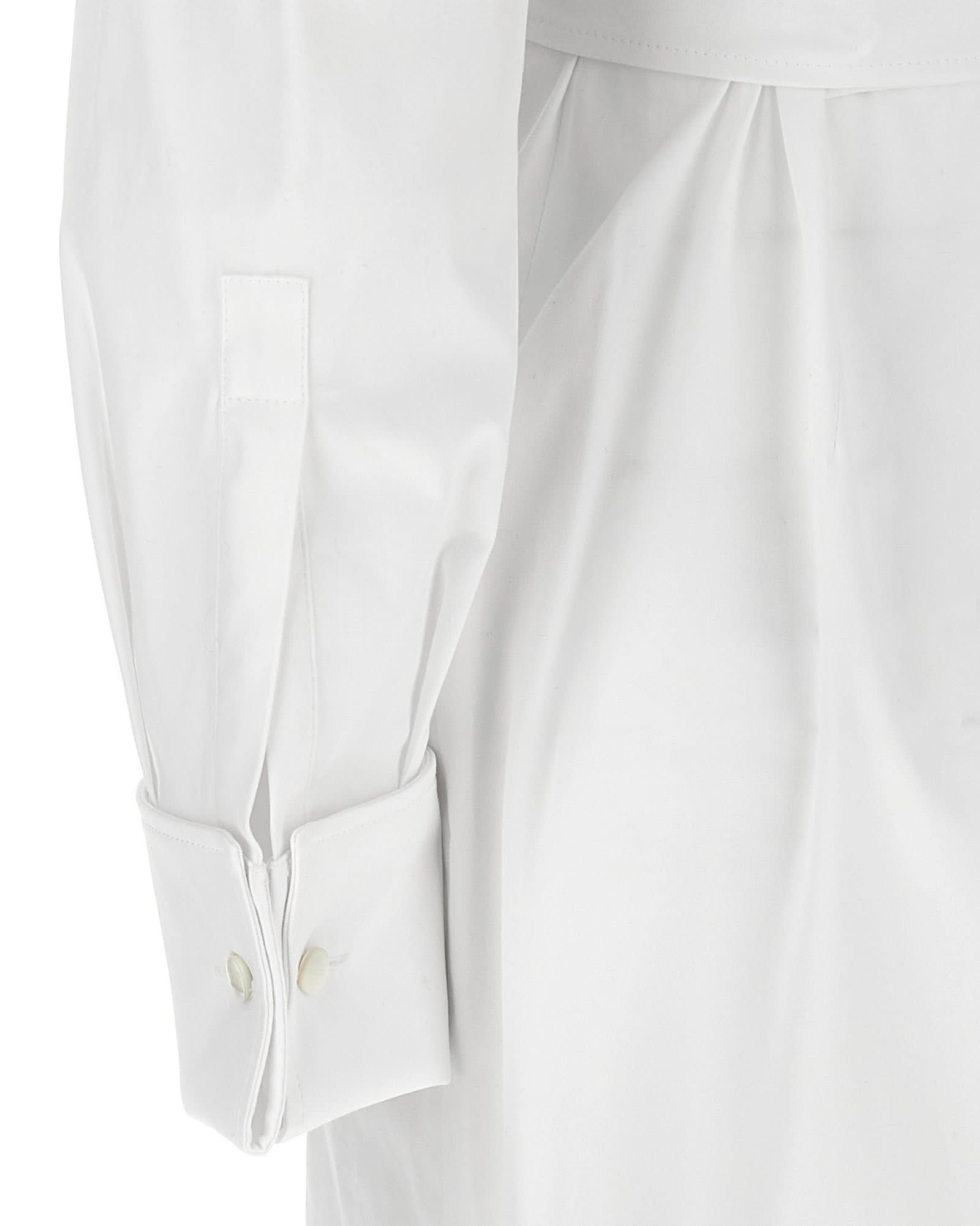 Max Mara Balzac Dress Glam Steals