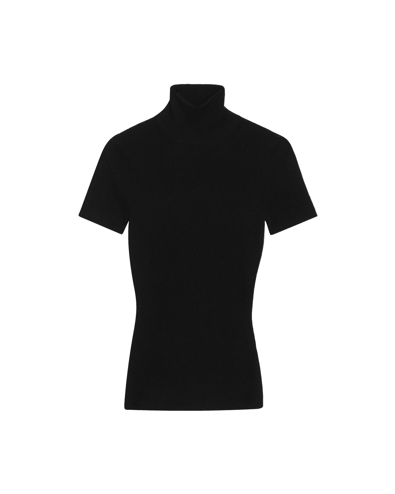 Max Mara Black Wool Turtleneck Glam Steals