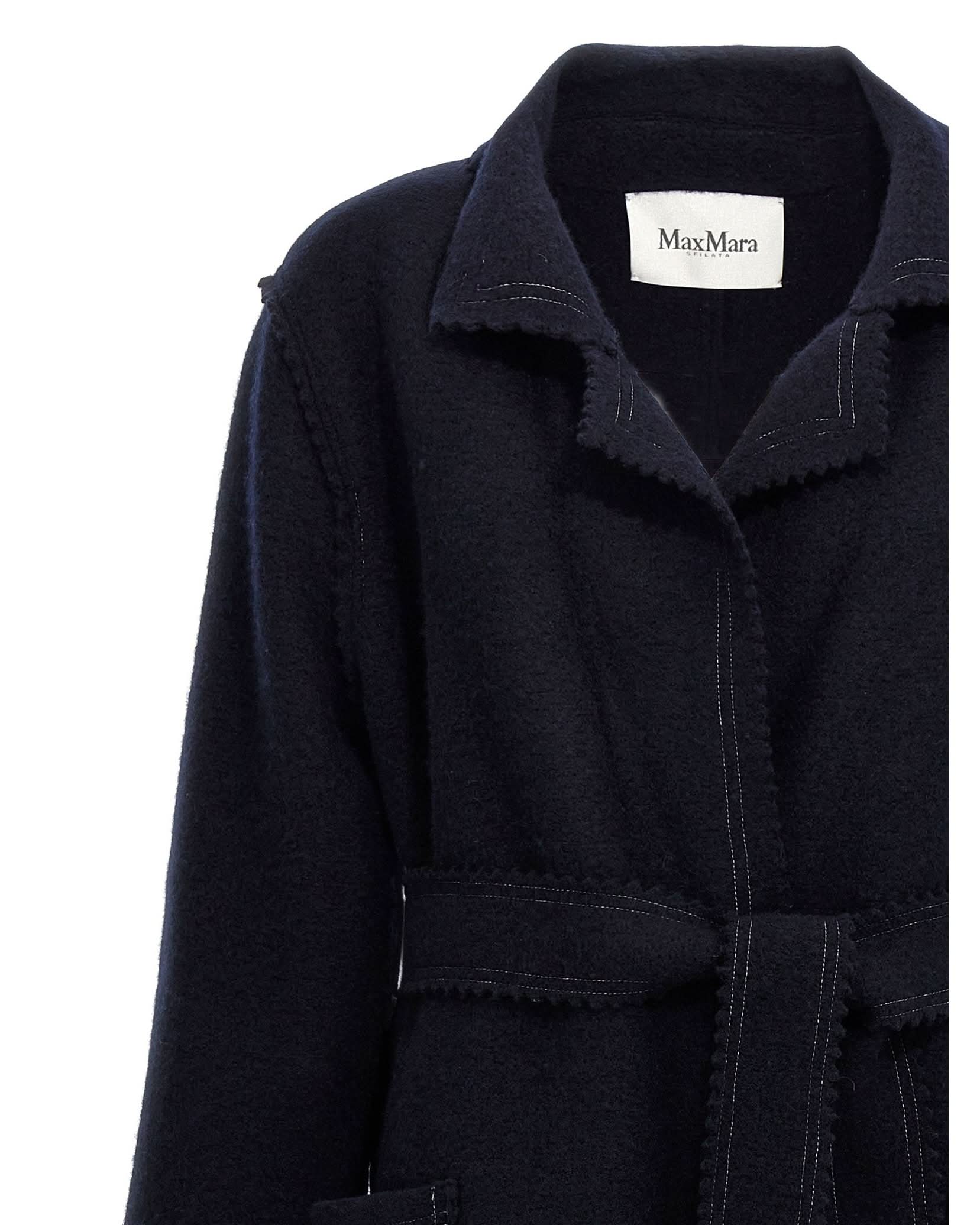 Max Mara Jene Coat Glam Steals